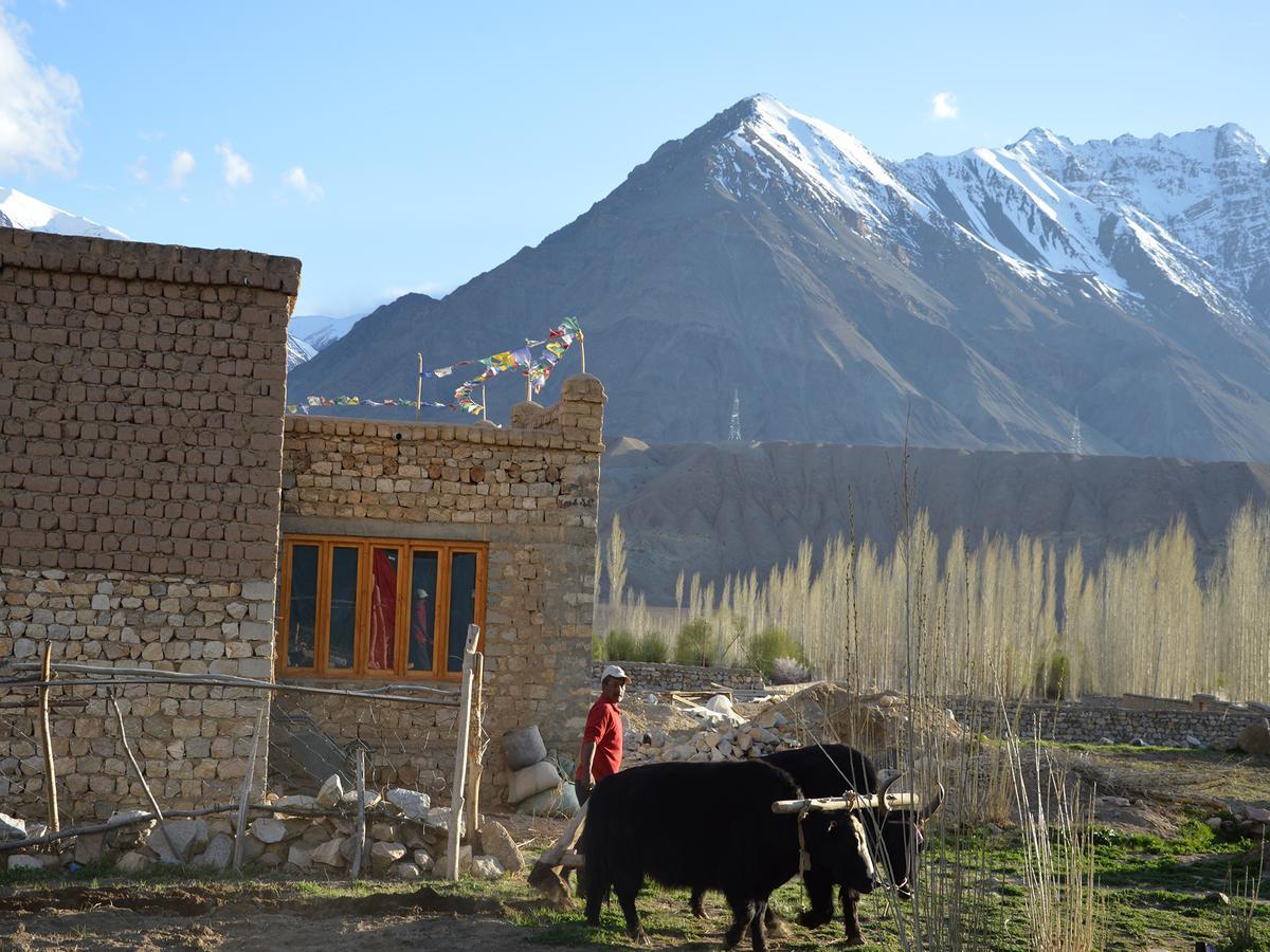 Nimmu House Ladakh Hotel Nimu Екстериор снимка